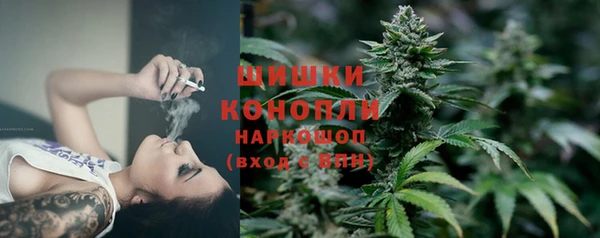 винт Вяземский