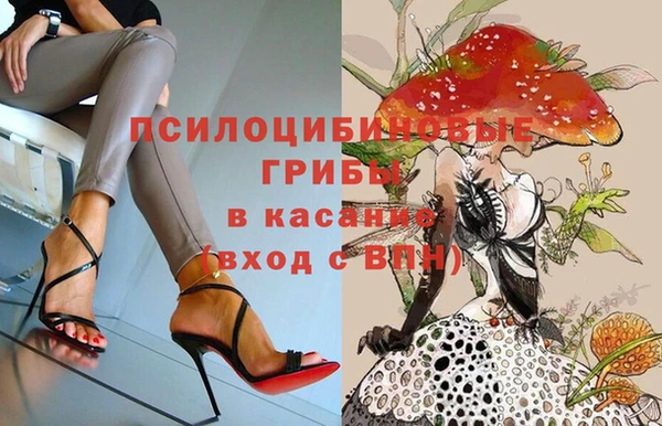 винт Вяземский