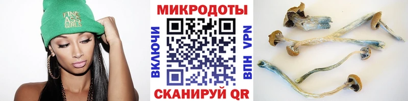 Галлюциногенные грибы мухоморы Суровикино